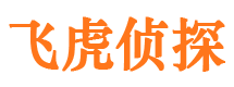 嘉黎市婚姻调查